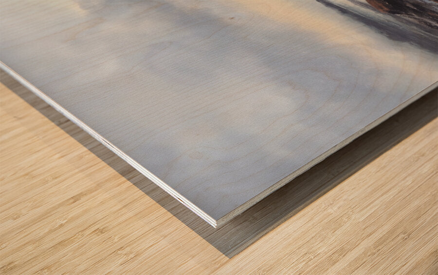 Wood Print